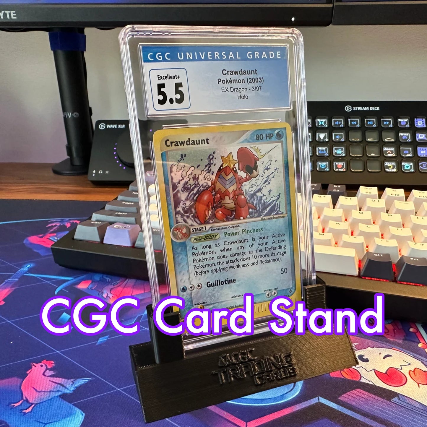 CGC Trading Card Stand (Angled)